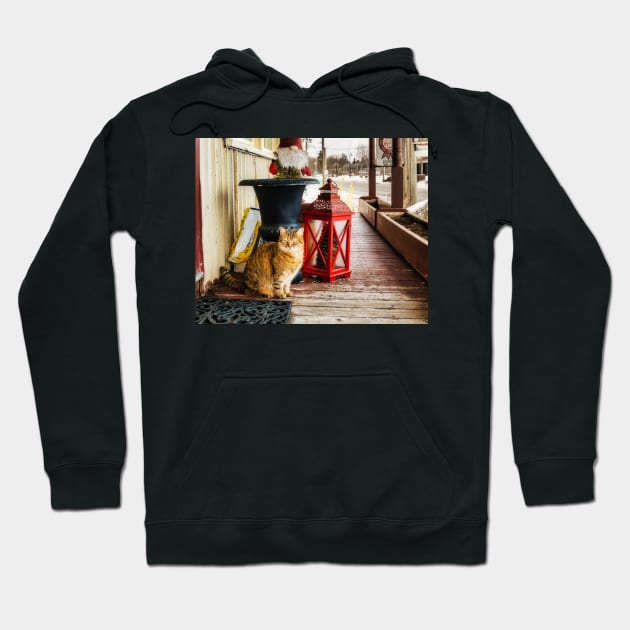 Country Store Cat 3 Hoodie by Robert Alsop